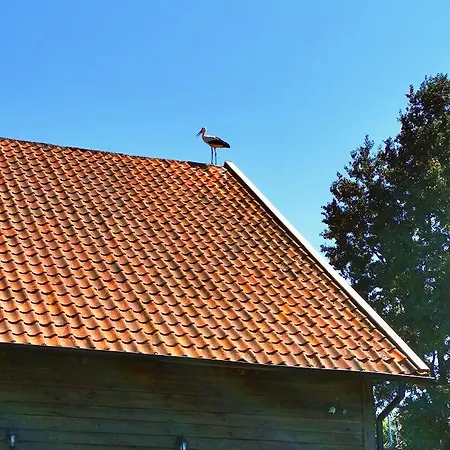 Mazurski Pejzaz - Dom Z Widokiem I Ogrodem Radzie