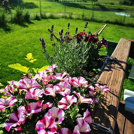 Mazurski Pejzaz - Dom Z Widokiem I Ogrodem Feriehus *