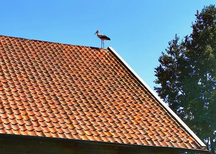 Mazurski Pejzaz - Dom Z Widokiem I Ogrodem Radzie